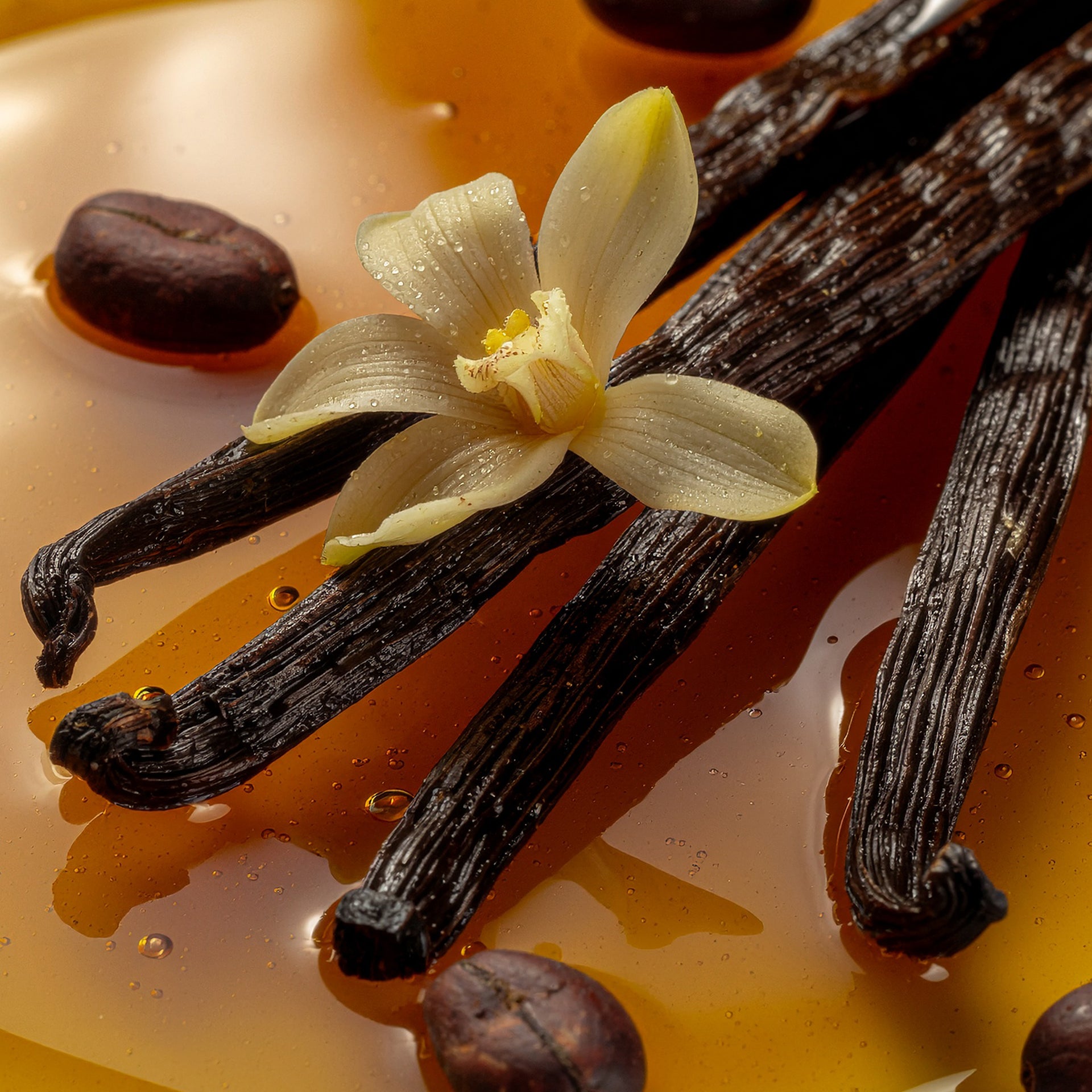 BRUME VANILLE AMBRÉE