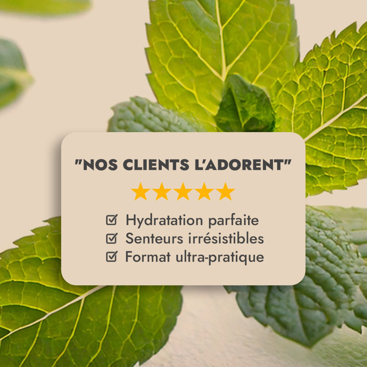 BRUME MENTHE GIVRÉE