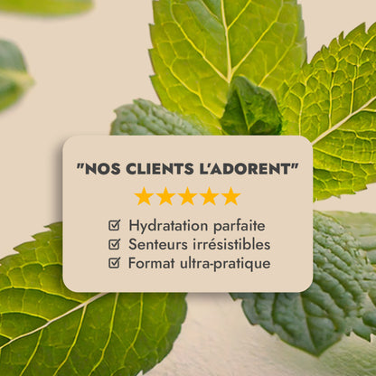 BRUME MENTHE GIVRÉE