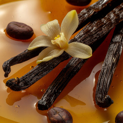 BRUME VANILLE AMBRÉE